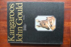 Kangaroos