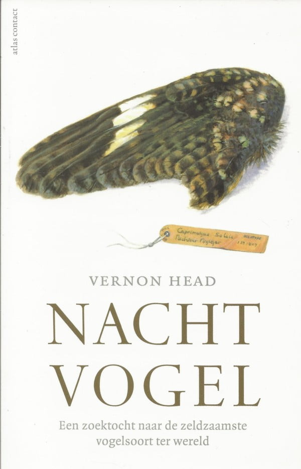 Nachtvogel Een zoektocht naar de zeldzaamste vogelsoort ter wereld > Vogelboekhandel J&J