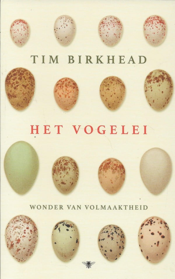 Het vogelei - Wonder van volmaaktheid