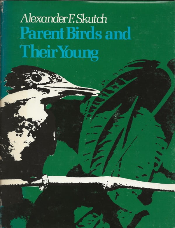 Parent Birds and Their Young