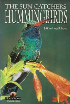 Hummingbirds - The Sun Catchers