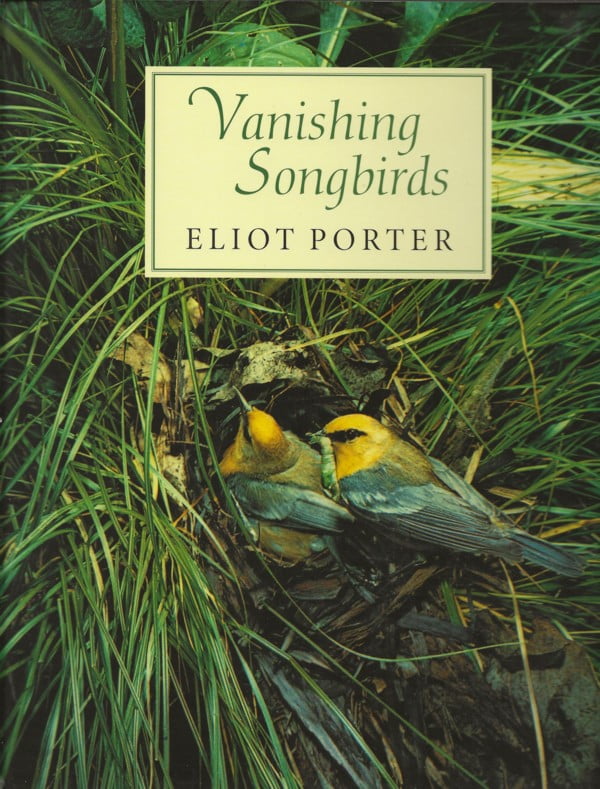Vanishing Songbirds