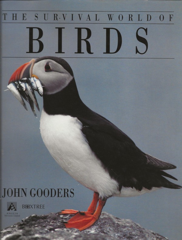 The Survival World of Birds