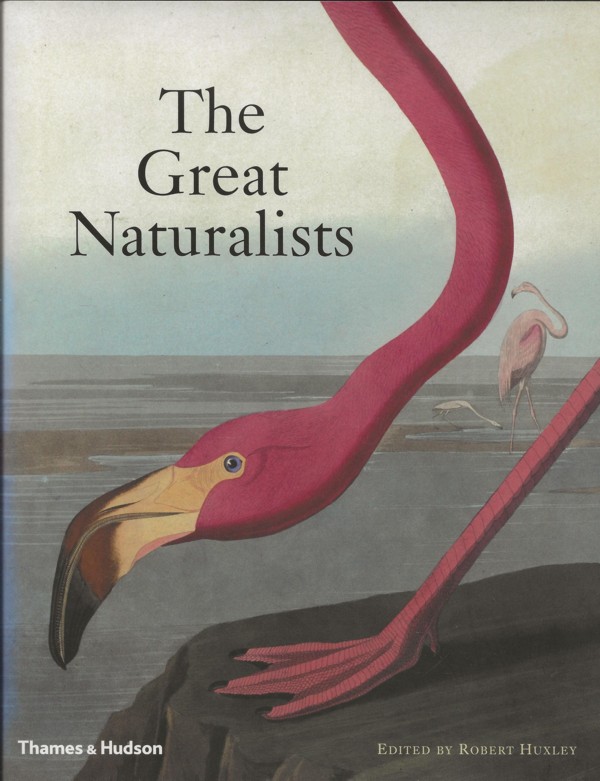 The Great Naturalists