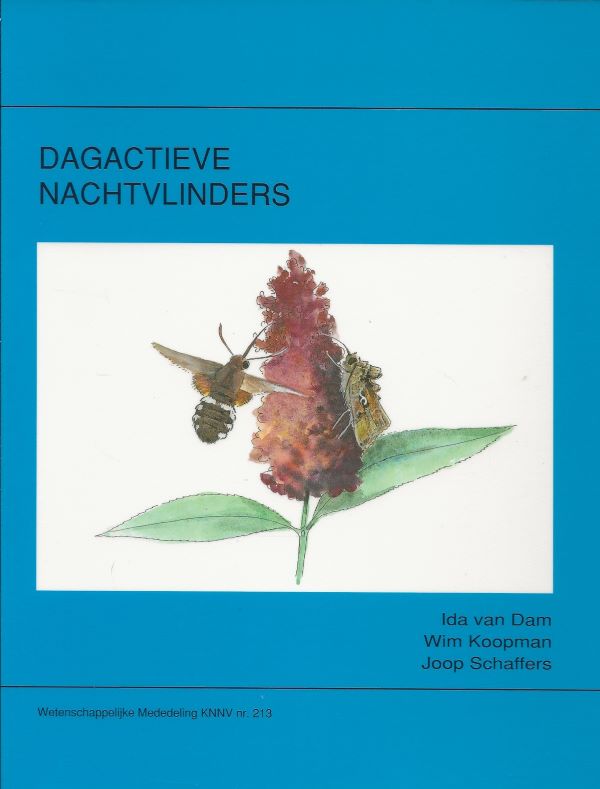 Dagactieve nachtvlinders