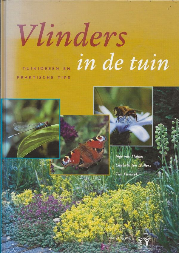Vlinders in de tuin