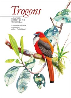 Trogons, a natural history of the Trogonidae