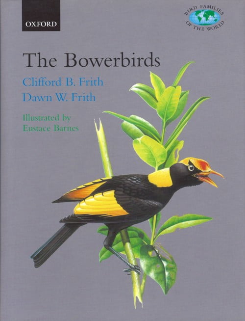 The Bowerbirds