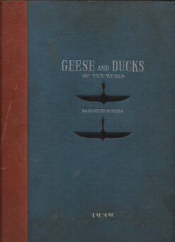 Geese and Ducks of the World