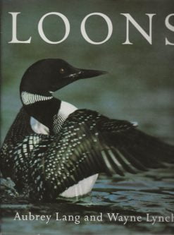 Loons