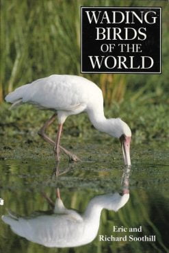 Wading Birds of the World