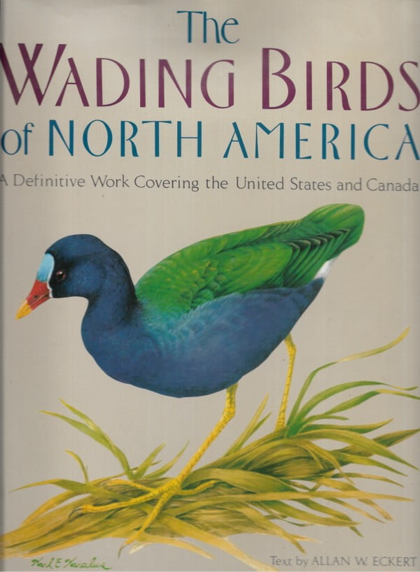 The Wading Birds of North America