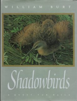 Shadowbirds - A Quest for Rails