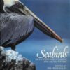 Seabirds of Eastern North Pacific and Arctic Waters