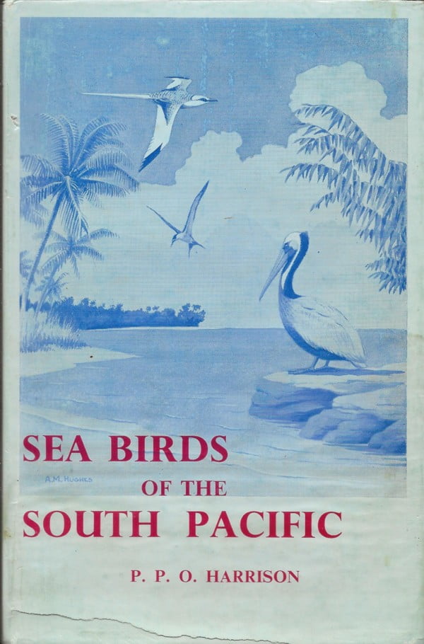Sea Birds of the South Pacific