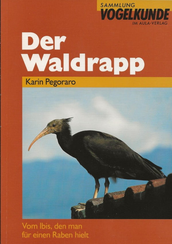 Der Waldrapp