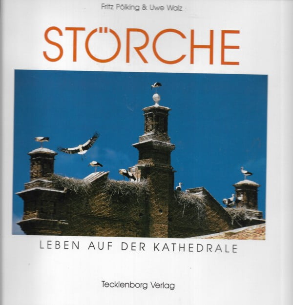 Störche - Leben auf der Kathedrale