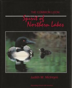 The Common Loon - Spirit of Northern Lakes