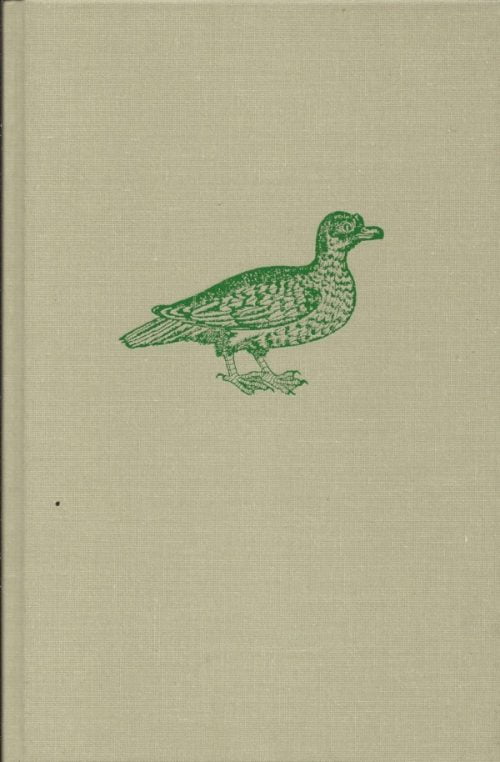 The Muscovy Duck, Cairina moschata domestica