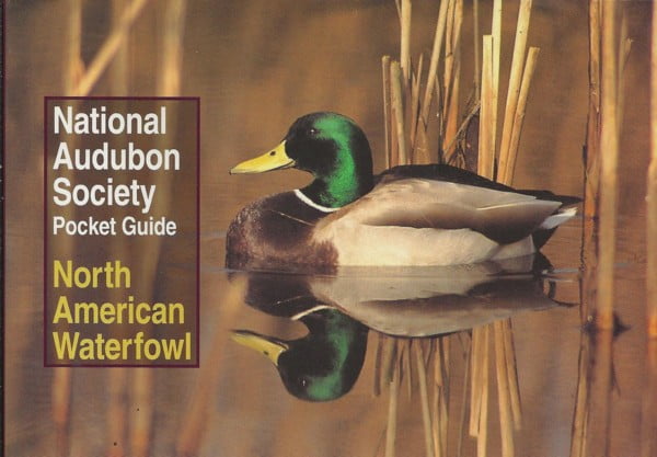 Pocket Guide North American Waterfowl
