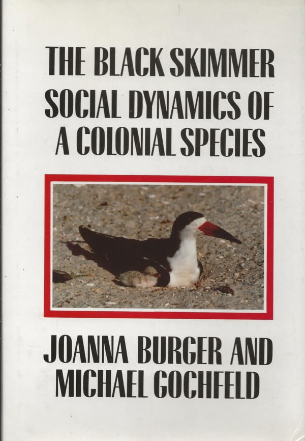 The black skimmer social dynamics of a colonial species