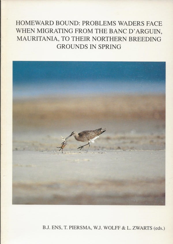 Homeward bound : Problems waders face when migrating from the Banc D'Arguin, Mauritania, to their northern breeding grounds in spring