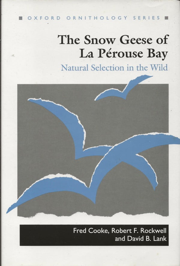 The Snow Geese of La Pérouse Bay - Natural Selection in the Wild