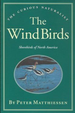 The Wind Birds - Shorebirds of North America