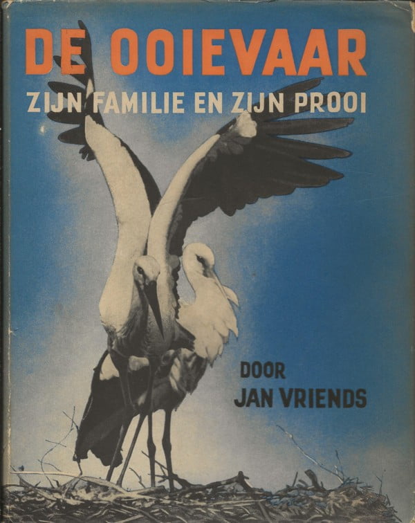 De ooievaar zijn familie en zijn prooi