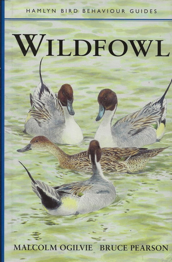 Wildfowl