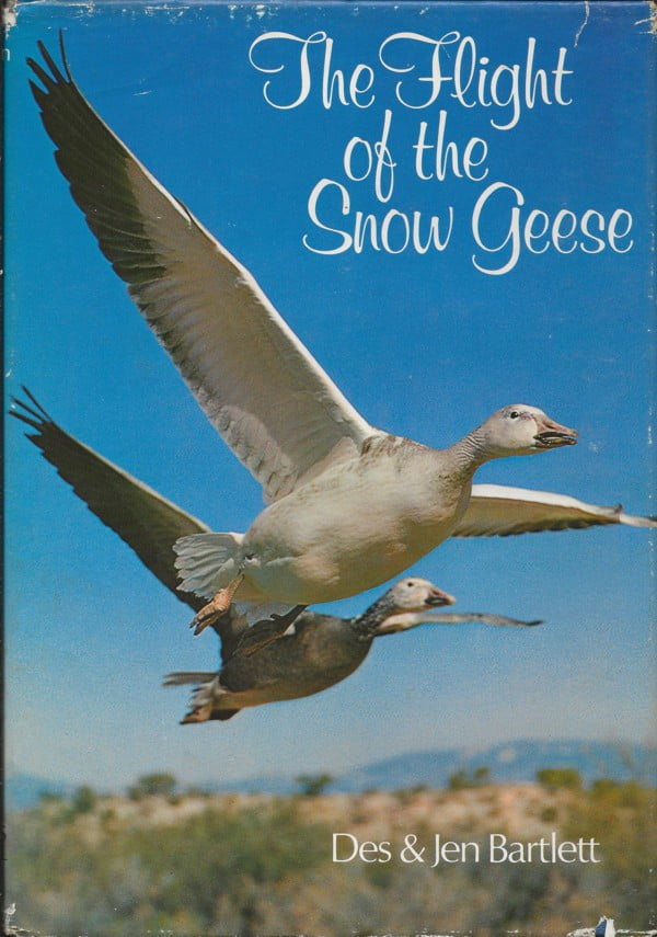 The Flight of the Snow Geese