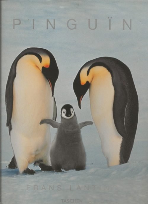 Pinguïn