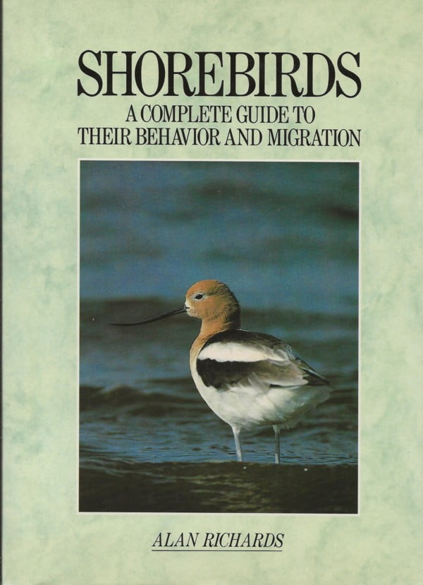 Shorebirds - A complete guide to their behavior and migration