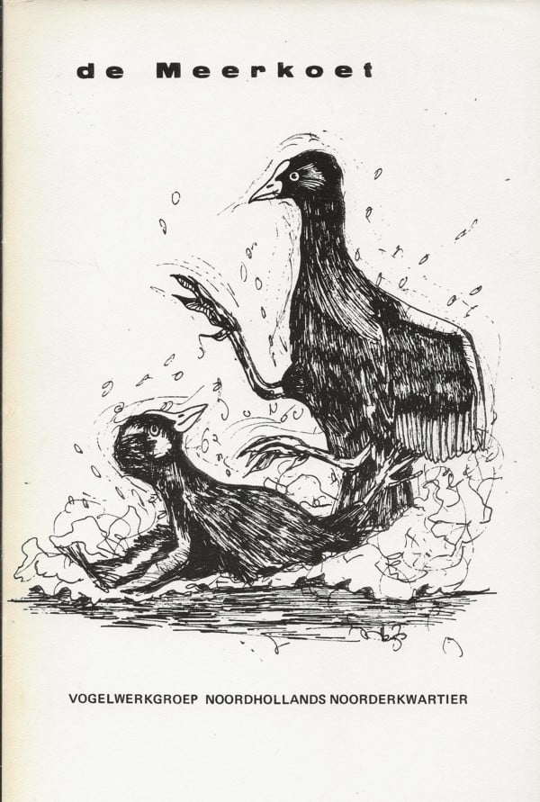 De Meerkoet