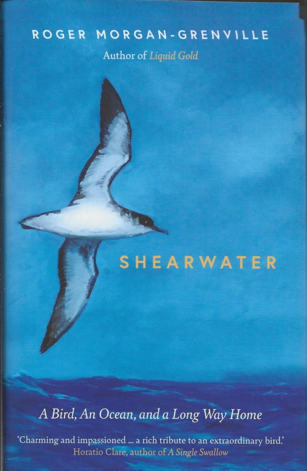 Shearwater