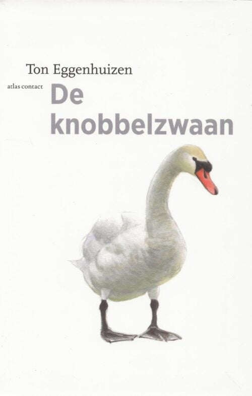 De knobbelzwaan