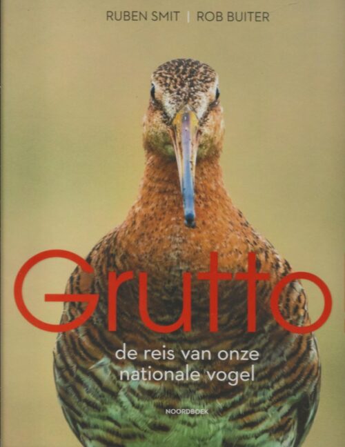 Grutto! - De reis van onze nationale vogel