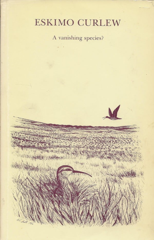 Eskimo Curlew - A vanishing species?