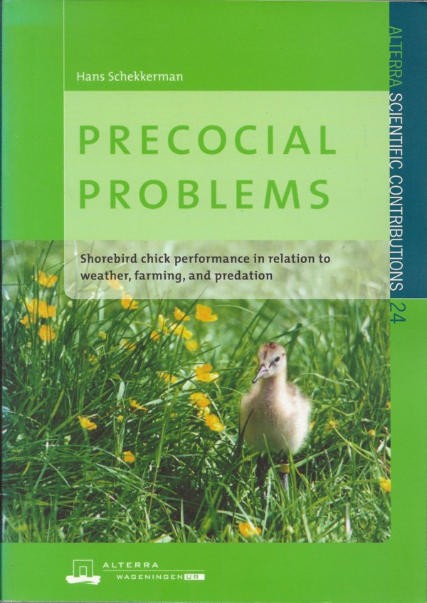Precocial Problems - Shorebird chick performance in relation to weather, farming and predation