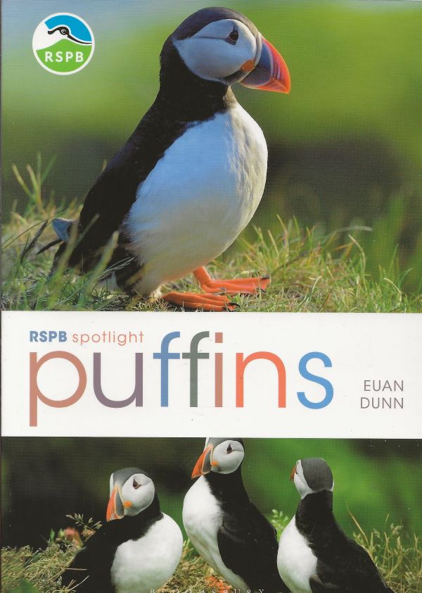 Puffins