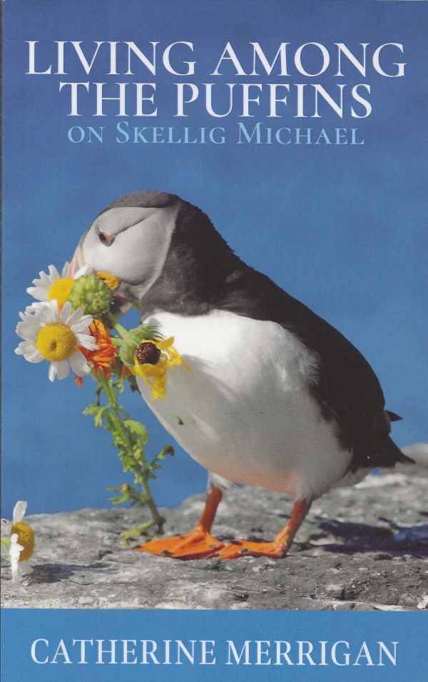 Living Among the Puffins on Skellig Michael