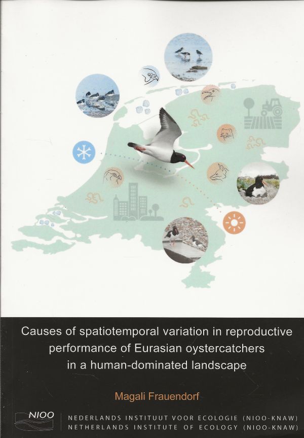 Causes of spatiotemporal variation in reproductive performance of Eurasian oystercatchers in a human-dominated landscape