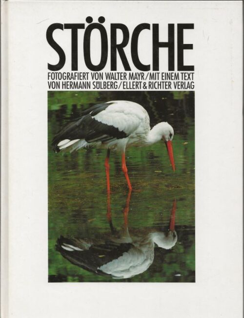 Störche