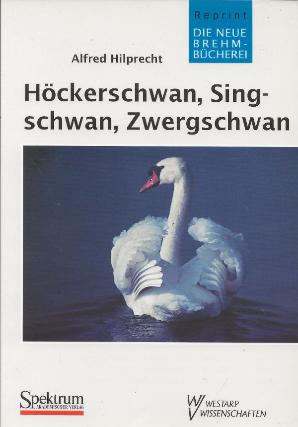 Höckerschwan, Singschwan, Zwergschwan (no. 177)