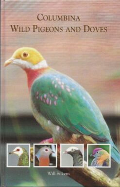 Columbina, Wild Pigeons and Doves