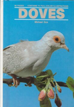 Doves