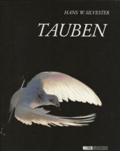Tauben
