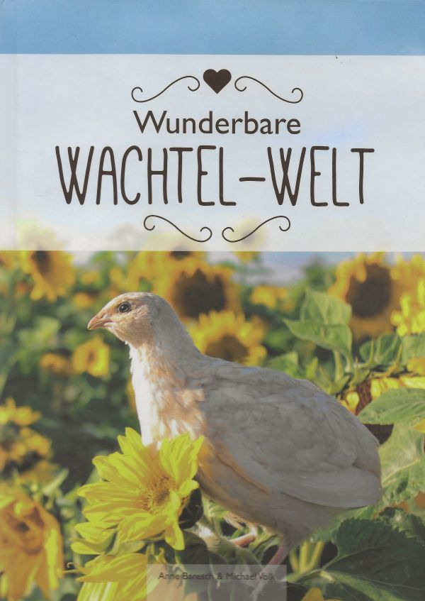 Wunderbare Wachtel-Welt