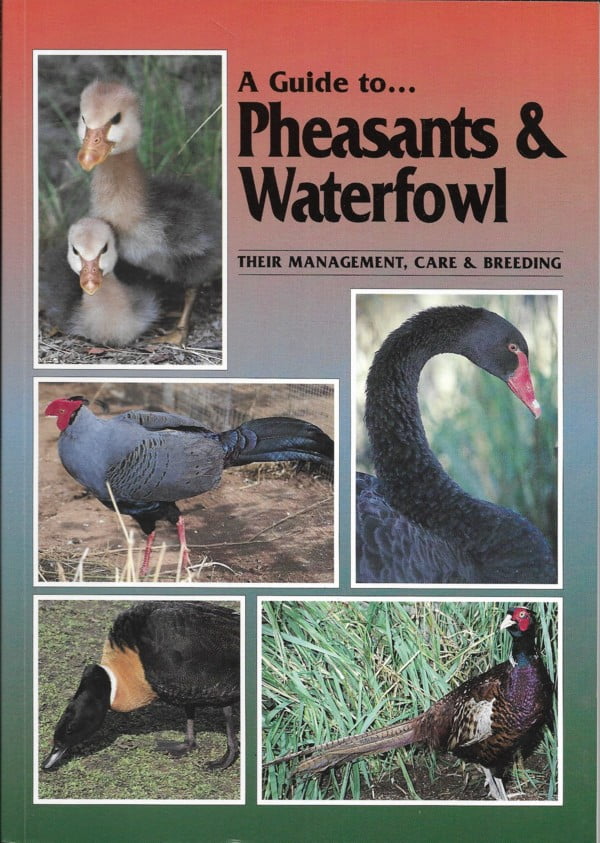 Pheasants and Waterfowl