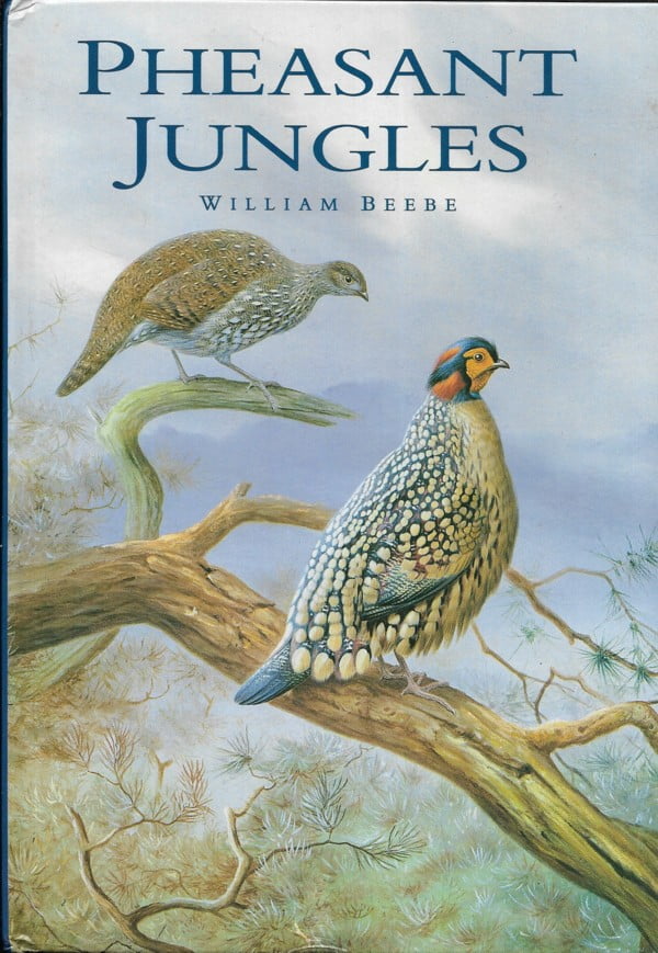 Pheasant Jungles